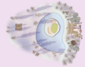Thumbnail for version as of 19:55, 24 May 2026