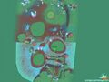 Thumbnail for version as of 22:42, 4 July 2025