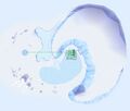 Thumbnail for version as of 22:20, 11 July 2025