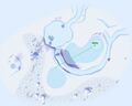 Thumbnail for version as of 22:17, 11 July 2025