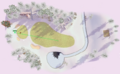 Thumbnail for version as of 19:50, 24 May 2026