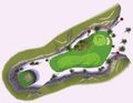 Thumbnail for version as of 21:51, 11 July 2025