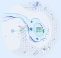 Thumbnail for version as of 22:18, 11 July 2025